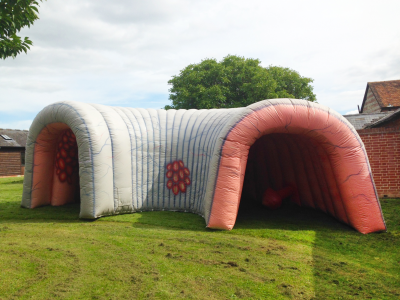 Inflatable Colon